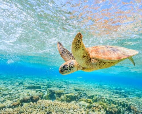 homepage-photos-(18)